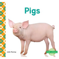 Pigs
