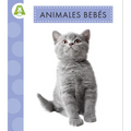 Animales Bebés