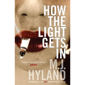 How the Light Gets in