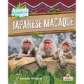 Japanese Macaque