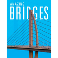 Amazing Bridges