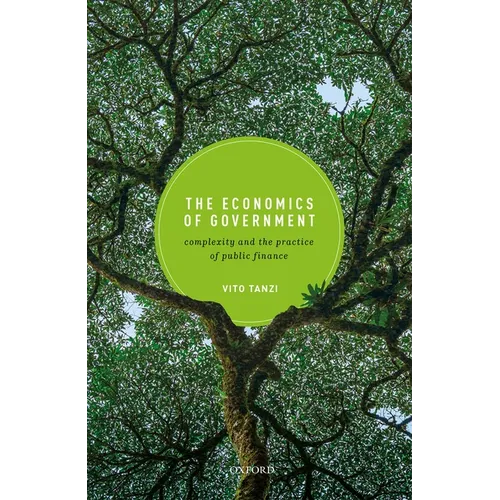The Economics of Government: Complexity and the Practice of Public Finance
