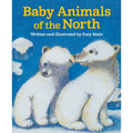 Baby Animals of the North