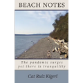 Beach Notes: The pandemic surges yet there is tranquility