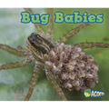 Bug Babies