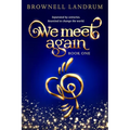 We Meet Again: An epic reincarnation mystery about a famous couple reunited to change the world.