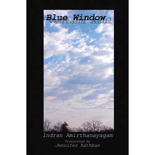Blue Window (Ventana Azul)