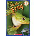 From Tadpole to Frog (Scholastic Reader, Level 1)