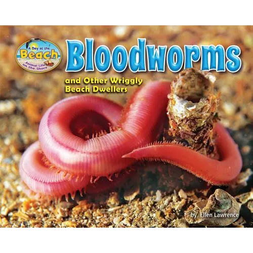 Bloodworms and Other Wriggly Beach Dwellers