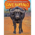 Cape Buffalo