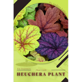 Heuchera Plant: Plant Guide