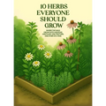 10 Herbs Everyone Should Grow: Where The Wild Grows Into Medicine; One Plant, One Tincture, One Story At a Time