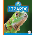 Lizards
