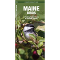 Maine Birds: A Folding Pocket Guide to Familiar Species