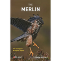 The Merlin: The Ecology of a Magical Raptor