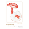 Le Vrai Mystere Des Champignons