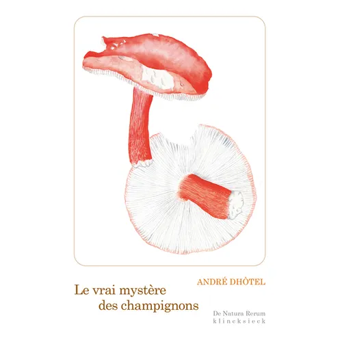 Le Vrai Mystere Des Champignons