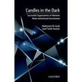 Candles in the Dark: Successful Organizations in Pakistan's Weak Constitutional Environment