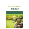 A Guide to Raising Ducks: All you need to know about rearing duck