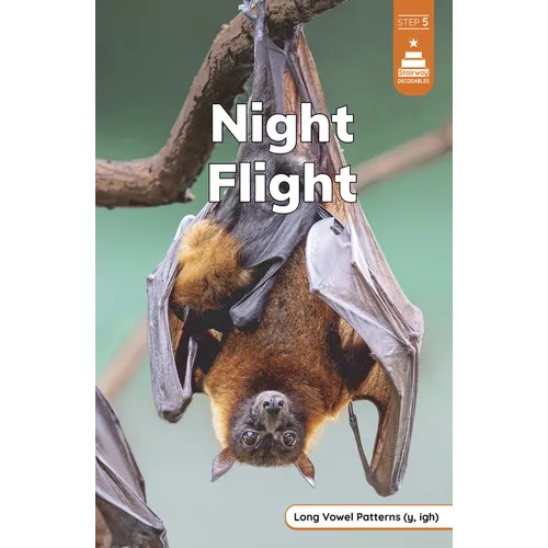 Night Flight