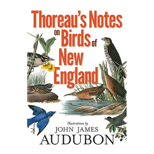 Thoreau's Notes on Birds of New England