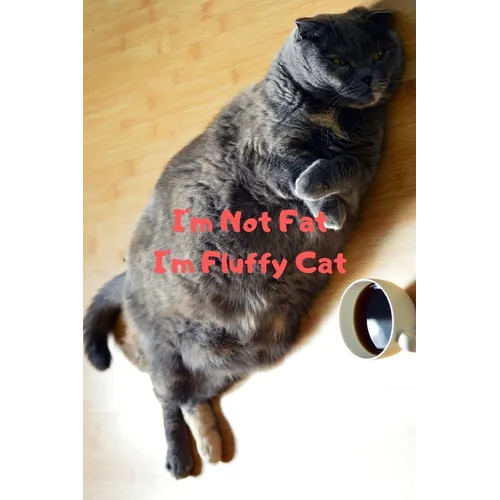 I'm Not Fat I'm Fluffy Cat Gift For Mom Wife Lover Women Sister Nurse