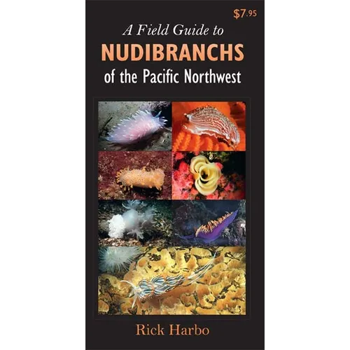 A Field Guide to Nudibranchs of the Pacific Northwest