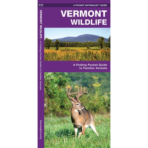 Vermont Wildlife: A Folding Pocket Guide to Familiar Animals