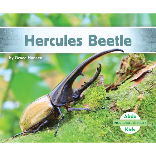 Hercules Beetle