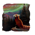 Yuka watches the Northern Lights