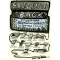 Feeding Back: Conversations with Alternative Guitarists from Proto-Punk to Post-Rock