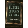 The Plunder of Black America: How the Racial Wealth Gap Was Made
