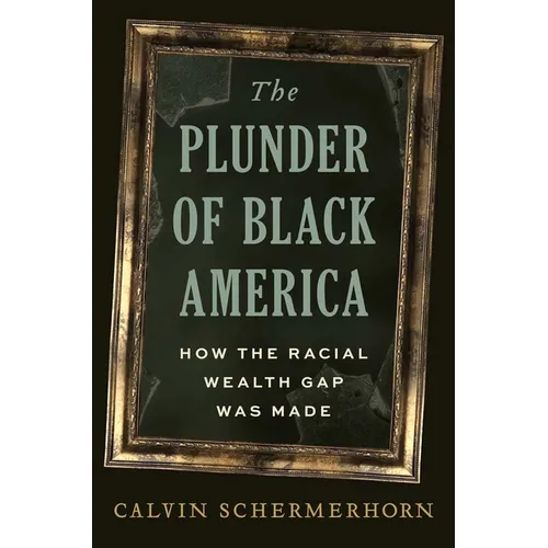 The Plunder of Black America: How the Racial Wealth Gap Was Made