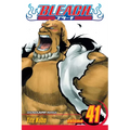 Bleach, Vol. 41