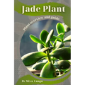 Jade Plant: Plant overview and guide