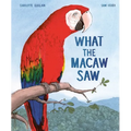 What the Macaw Saw