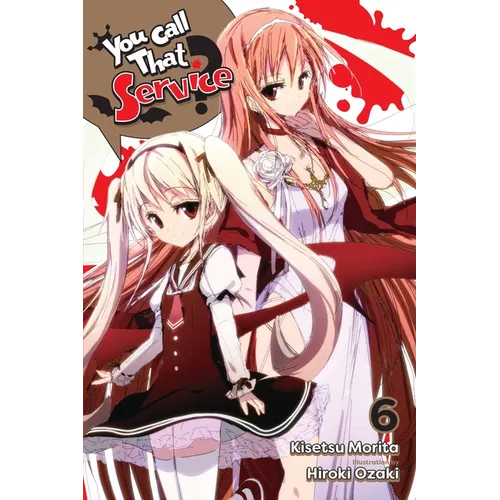 You Call That Service?, Vol. 6 (Light Novel): Volume 6