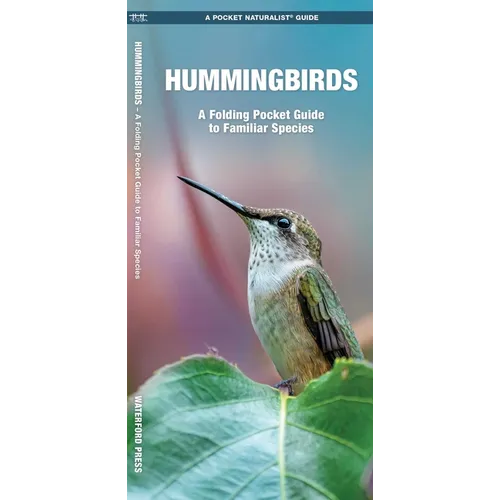 Hummingbirds, 3rd Ed: A Folding Pocket Guide to Familiar Species