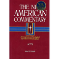 Acts: An Exegetical and Theological Exposition of Holy Scripture Volume 26