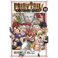 Fairy Tail: 100 Years Quest 10