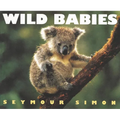 Wild Babies