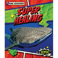 Super Healing