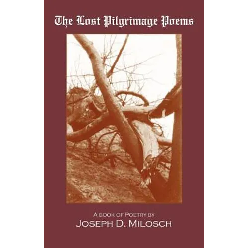 The Lost Pilgrimage Poems