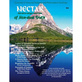 Nectar of Non-Dual Truth #30