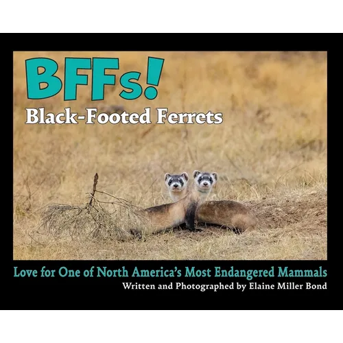 BFFs! Black-Footed Ferrets: Love for One of North Americas Most Endangered Mammals