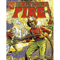 The Great Chicago Fire of 1871