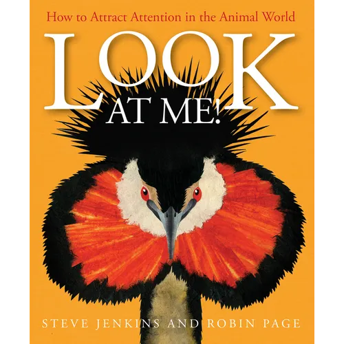 Look at Me!: How to Attract Attention in the Animal World