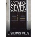 Gestation Seven: One Was Black and One Was White