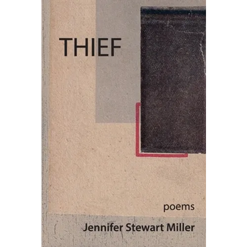 Thief: poems
