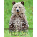 Bears of the North: A Year Inside Their Worlds